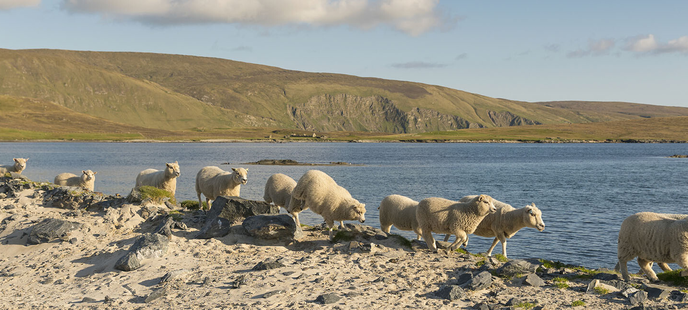 Static caravans & holiday homes for sale in The Shetland Isles, Scotland
